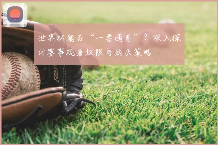 世界杯能否“一票通看”?深入探讨赛事观看权限与购买策略