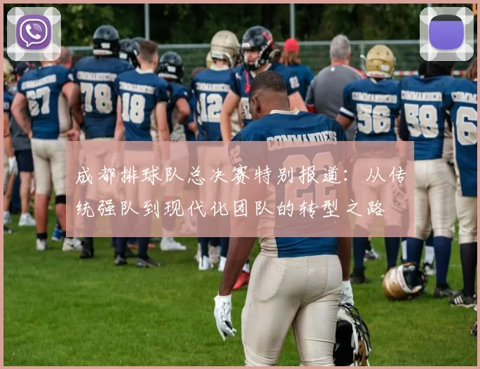 成都排球队总决赛特别报道:从传统强队到现代化团队的转型之路