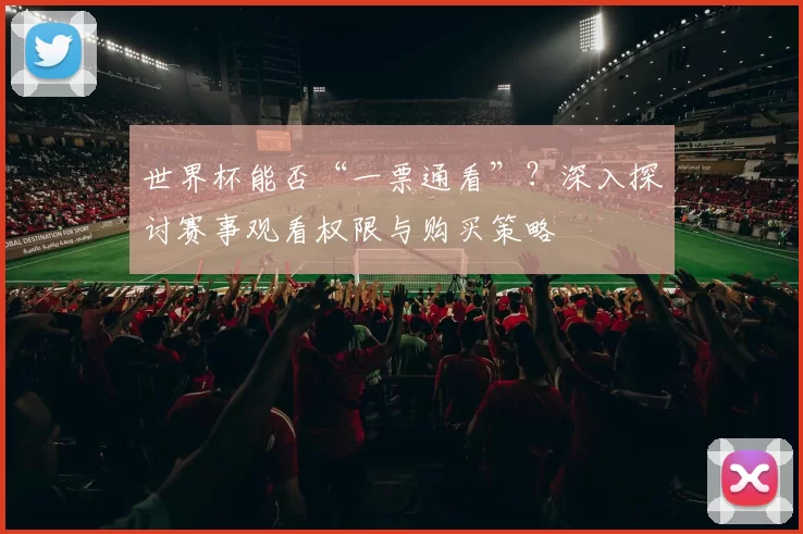 世界杯能否“一票通看”？深入探讨赛事观看权限与购买策略