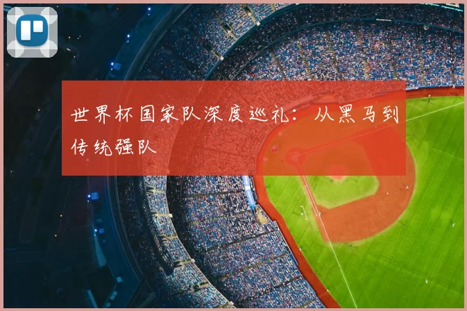 世界杯国家队深度巡礼:从黑马到传统强队