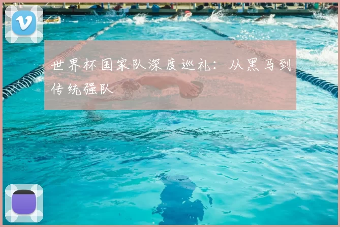 世界杯国家队深度巡礼:从黑马到传统强队