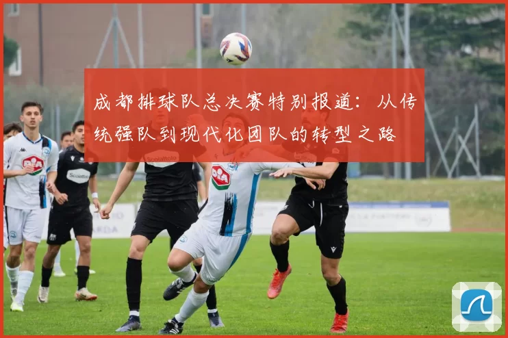 成都排球队总决赛特别报道:从传统强队到现代化团队的转型之路