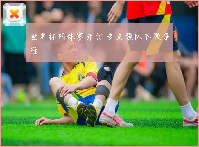 世界杯网球赛开打 多支强队齐聚争冠