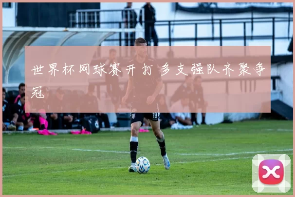 世界杯网球赛开打 多支强队齐聚争冠